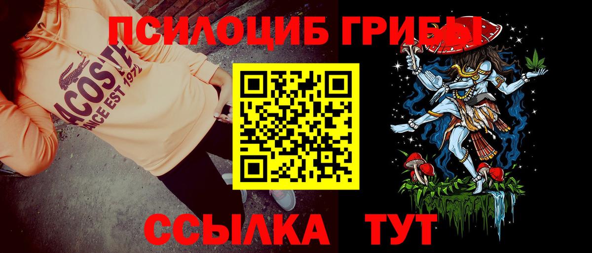 Галлюциногенные грибы прущие грибы Егорьевск